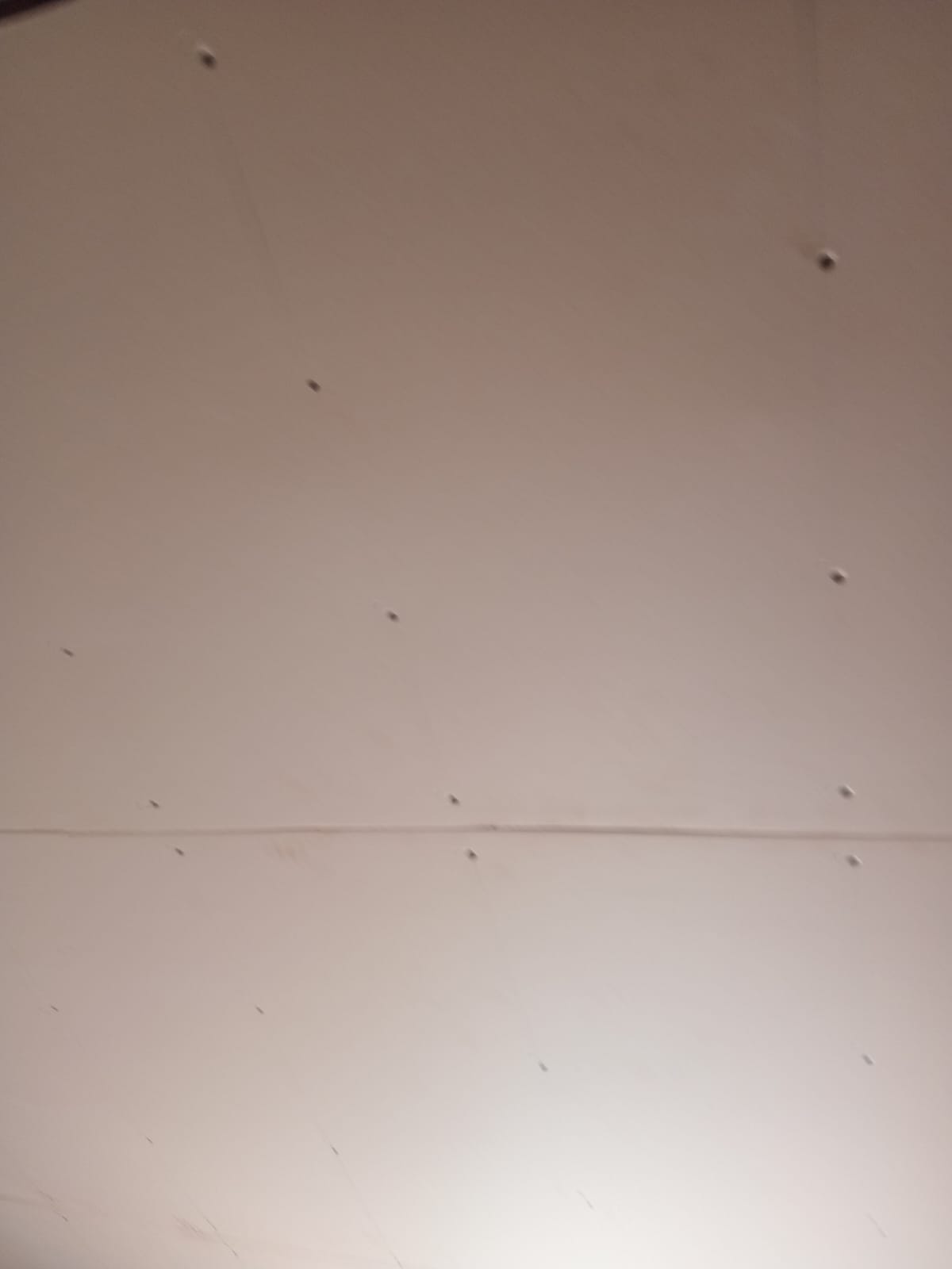 Ceiling framing and boardwork